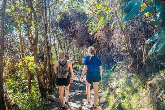 National Parks in Paradise