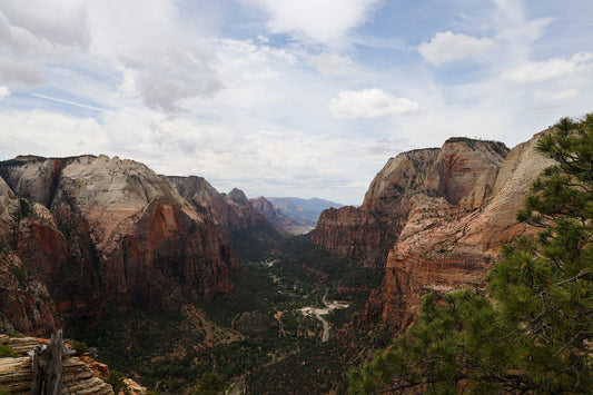 Frost River Explores Zion National Park