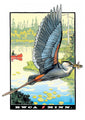 Frost River Postcards